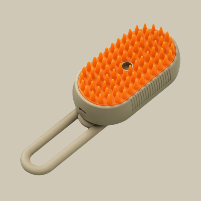 Brosse à vapeur