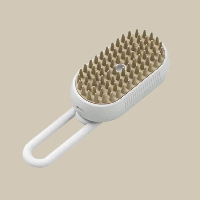 Brosse à vapeur